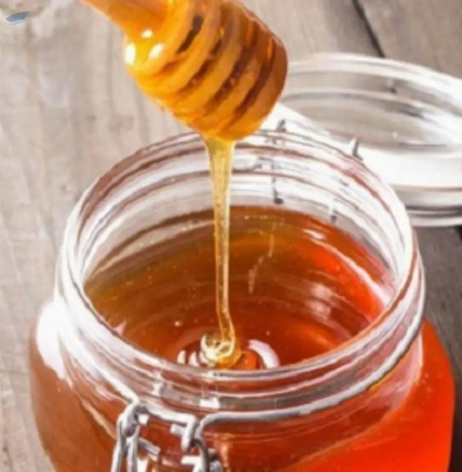 Forest Raw Honey
