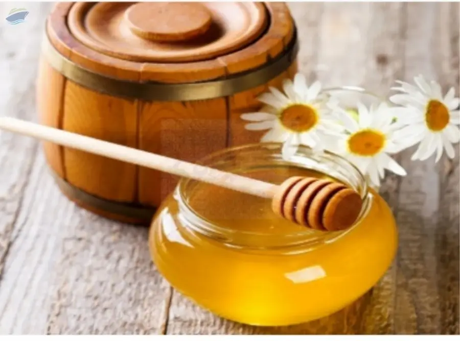 Indian Berry Honey