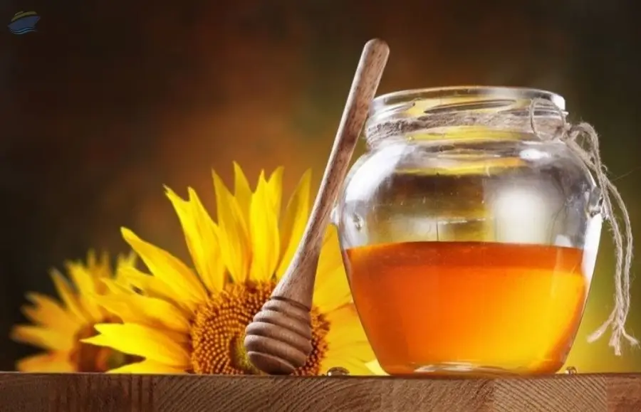 Sunflower Honey